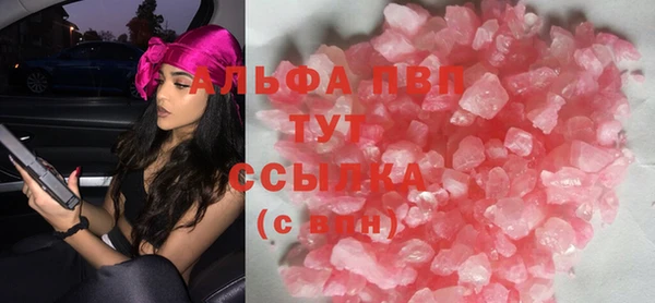 ПСИЛОЦИБИНОВЫЕ ГРИБЫ Бородино