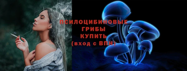ПСИЛОЦИБИНОВЫЕ ГРИБЫ Бородино