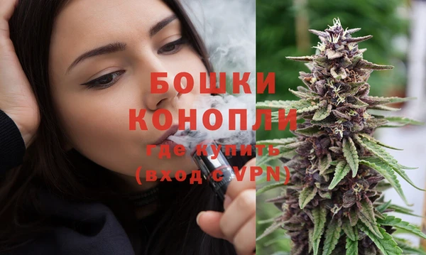 ПСИЛОЦИБИНОВЫЕ ГРИБЫ Бородино