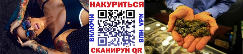 Бошки марихуана план  наркошоп  Мичуринск 